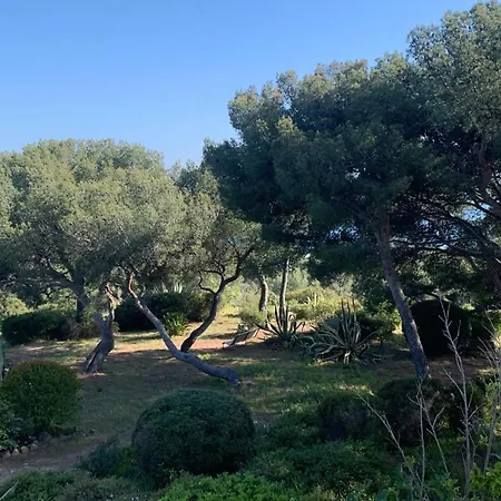 Duplex Rooftop Acces Plage Par Chemin Prive Appartement