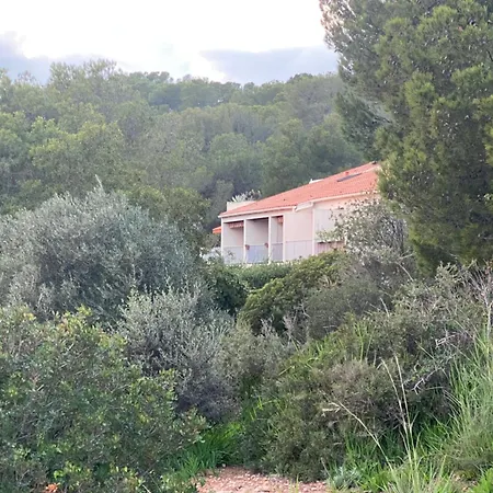Duplex Rooftop Acces Plage Par Chemin Prive Apartment